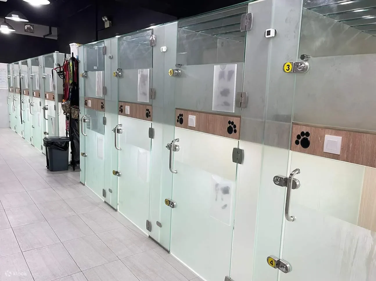 Deretan kamar mewah untuk anjing di Dog Relais Bandara Fiumicino.