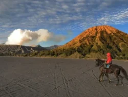 Bikin Heboh! Turis Korea Nekat Paralayang di Bromo, TNBTS Ungkap Fakta Mengejutkan di Balik Aksi Terbang Bebas Itu 8 Bikin Heboh! Turis Korea Nekat Paralayang di Bromo, TNBTS Ungkap Fakta Mengejutkan di Balik Aksi Terbang Bebas Itu