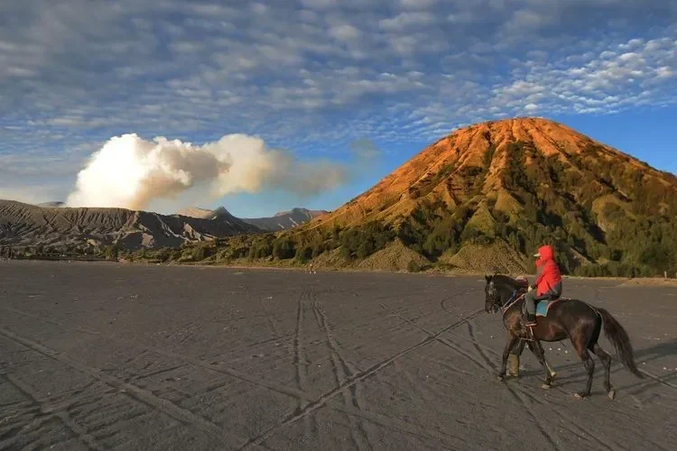 Bikin Heboh! Turis Korea Nekat Paralayang di Bromo, TNBTS Ungkap Fakta Mengejutkan di Balik Aksi Terbang Bebas Itu 1 bikin heboh turis korea nekat paralayang di bromo tnbts ungkap fakta mengejutkan di balik aksi terbang bebas itu portal berita terbaru