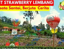 Bikin Penasaran! Ada Apa dengan Angka '2025' di Footer CNN Indonesia? Ini Rahasia Strategi Media Digital! 2 Bikin Penasaran! Ada Apa dengan Angka ‘2025’ di Footer CNN Indonesia? Ini Rahasia Strategi Media Digital!