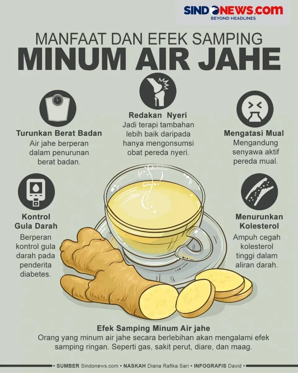 Infografis manfaat dan efek samping minum air jahe, lengkap dengan ilustrasi jahe dan secangkir minuman.