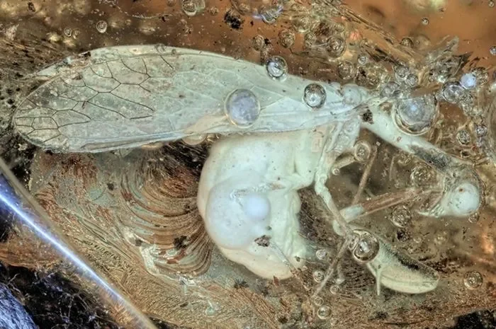 Serangga purba terperangkap dalam getah pohon, mengingatkan tentang kekayaan informasi yang tersembunyi.