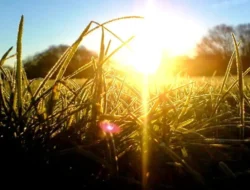 Bye Bad Mood! Cuma Lakukan 7 Ritual Pagi Simpel Ini, Dijamin Semangat Seharian