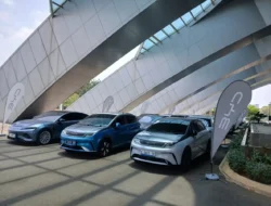 Bye-bye Subsidi, Hello Dominasi! BYD Puncaki Pasar Mobil Listrik RI, Intip Strategi Mereka!