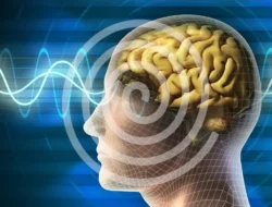 China Bikin AI ‘Otak Manusia’ Tanpa Nvidia: SpikingBrain 1.0, Siap Guncang Dunia Teknologi?