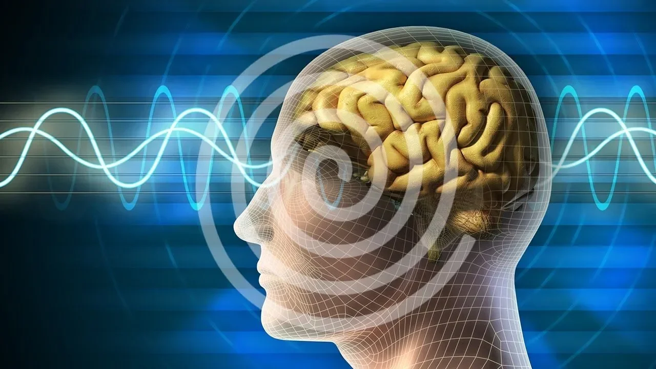 china bikin ai otak manusia tanpa nvidia spikingbrain 1 0 siap guncang dunia teknologi portal berita terbaru