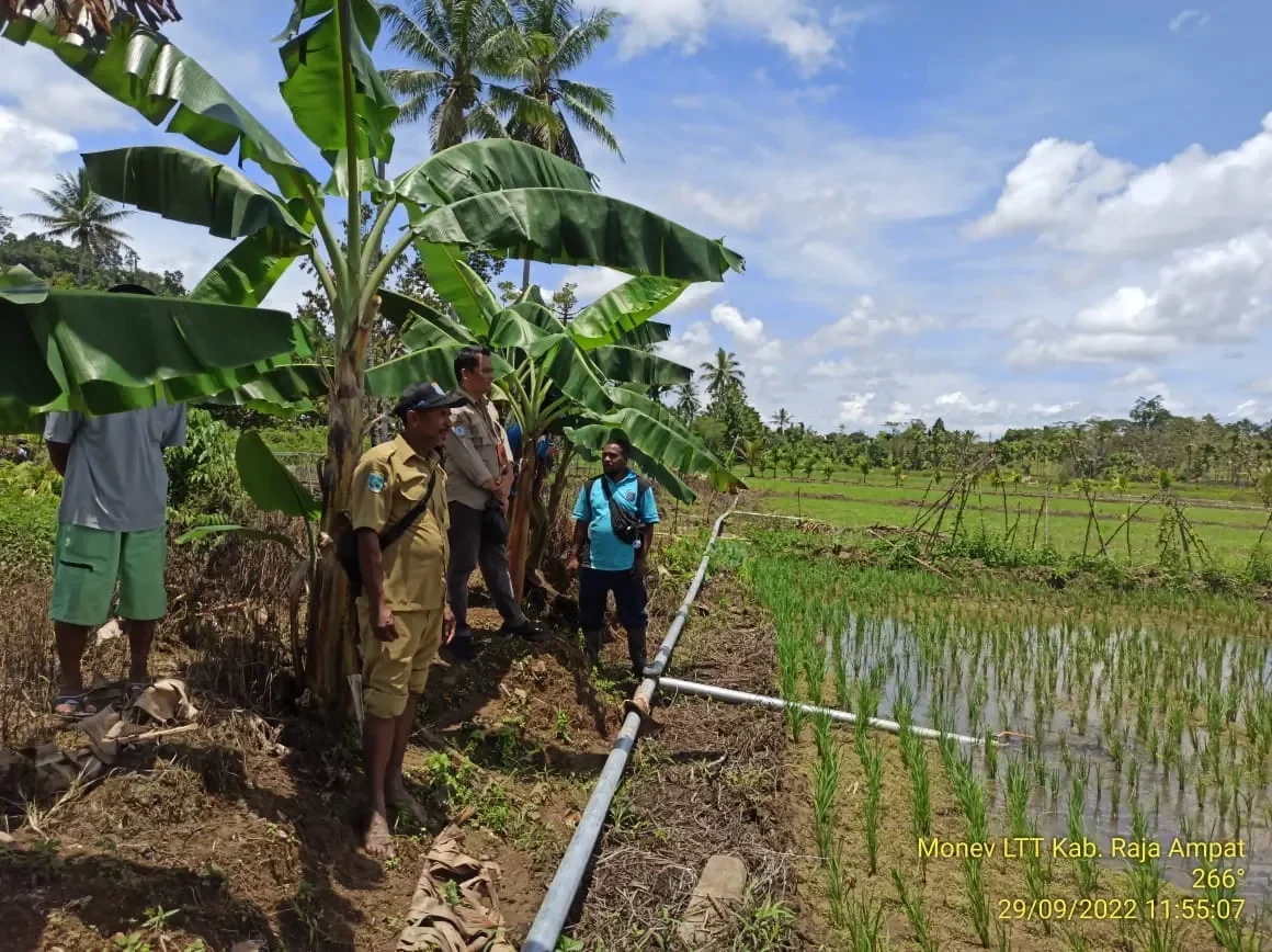 gak nyangka lahan tidur cinangka disulap jadi kebun hidroponik canggih berkat umj karang taruna auto jadi petani sultan portal berita terbaru