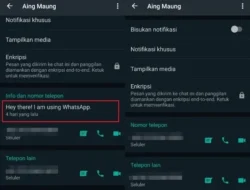 Gak Sadar? Ini 5 Tanda WhatsApp Kamu Diblokir Teman, Cek Sekarang Biar Gak Penasaran!