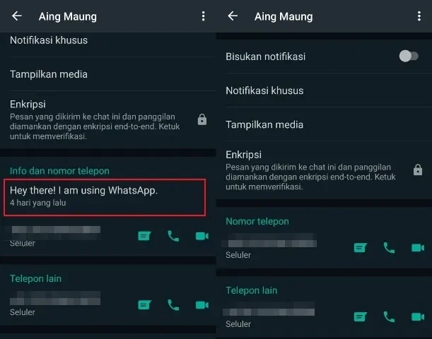 Tampilan profil WhatsApp dengan pesan default dan informasi kontak diburamkan.