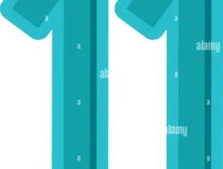 Gampang Lupa? 5 Rahasia Ini Bikin Ingatanmu Setajam Silet Sampai Tua!