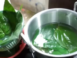 Gatal-Gatal Bikin Sengsara? Ini Dia 5 Rebusan Daun Ajaib yang Bikin Kulit Adem Tanpa Garuk!