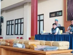 Geger! 53 Kilogram Ganja Disita di Jakarta, Jaringan Pengedar Terbongkar Tuntas!