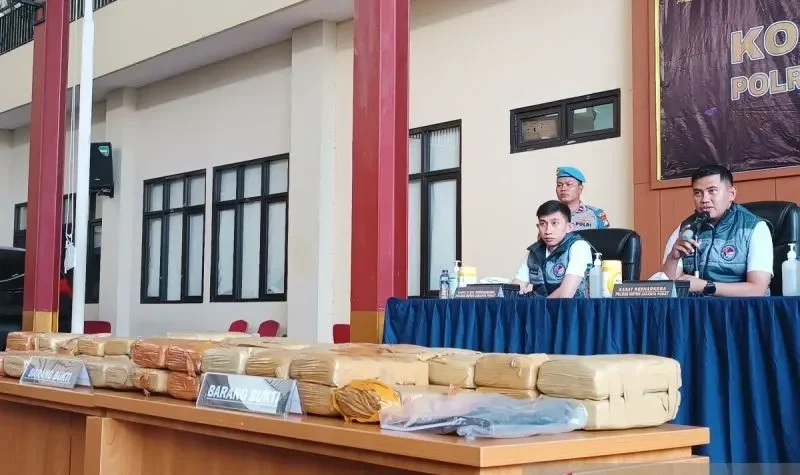 geger 53 kilogram ganja disita di jakarta jaringan pengedar terbongkar tuntas portal berita terbaru