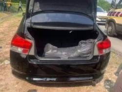 Geger! Mayat Misterius di Bagasi Mobil D4vd, Karier Sang Bintang di Ujung Tanduk?