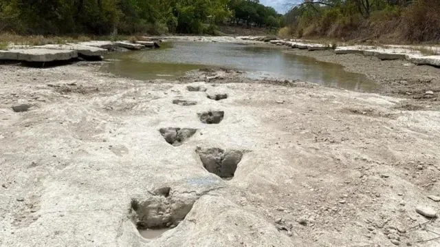 Jejak kaki dinosaurus purba terawetkan di dasar sungai yang kering.