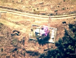 Haiti Mencekam! Puluhan Mayat Dimakan Anjing, Negara di Ambang Kehancuran Total