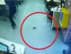 Horor di Bandara India: Penumpang Digigit Tikus Saat Menunggu Pesawat, Kok Bisa Sampai Masuk Celana?