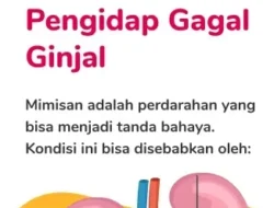 Jangan Kaget! 7 Makanan Enak Ini Diam-diam Merusak Ginjalmu, Wajib Hindari Sekarang!