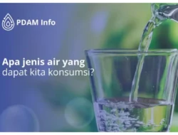 Jangan Kaget! Air Minum Cuma Dimasak Gak Cukup, Bahaya Ini Mengintai Keluarga & Anak!