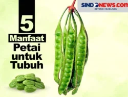 Jangan Kaget! Ini 5 Manfaat Petai yang Bikin Kamu Auto Sehat dan Pengen Nambah Terus 7 Jangan Kaget! Ini 5 Manfaat Petai yang Bikin Kamu Auto Sehat dan Pengen Nambah Terus