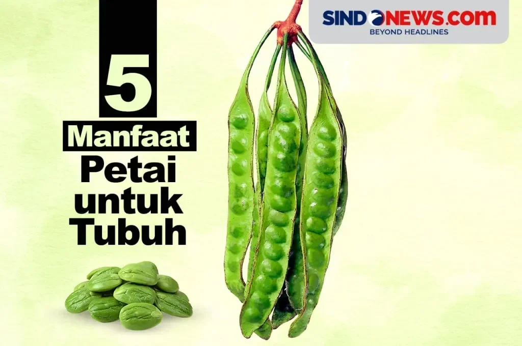 Jangan Kaget! Ini 5 Manfaat Petai yang Bikin Kamu Auto Sehat dan Pengen Nambah Terus 1 jangan kaget ini 5 manfaat petai yang bikin kamu auto sehat dan pengen nambah terus portal berita terbaru