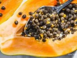 Jangan Kaget! Ini 7 Manfaat Biji Pepaya yang Jarang Orang Tahu, Rugi Kalau Dibuang!