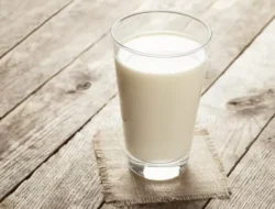 Jangan Kaget! Susu Bukan Pilar Utama Gizi Anak di Program Makan Gratis, Ini Penggantinya yang Lebih Oke!