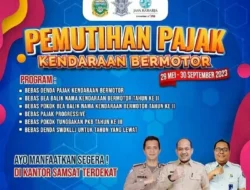 Jangan Sampai Terlewat! Pemutihan Pajak Kendaraan di 13 Provinsi Ini Berakhir di 2025 & 2026, Cek Daftarnya!