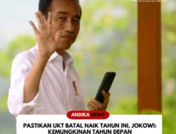 Kaget! Anggaran Makan Bergizi Gratis Prabowo Batal Melejit Rp50 Triliun, Cuma Segini Tambahannya!