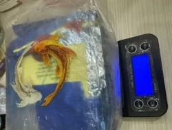 Kakek 64 Tahun Terciduk Bawa 1 Kg Sabu di Jakbar, Jaringan Narkoba Terkuak!