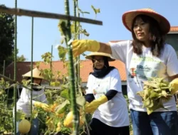 Keren! Mahasiswa Cyber University Bikin ‘Negeri di Atas Awan’ Melek Digital & Ekonomi, Raih Hibah Ratusan Juta!