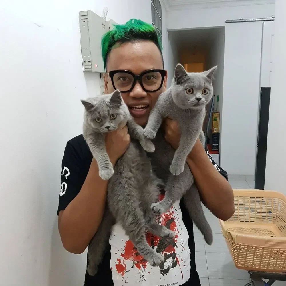 kucing uya kuya akhirnya pulang ada drama di balik penyerahan dari sherina munaf portal berita terbaru