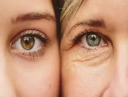 Mau Otak Awet Muda? Ternyata Cuma Minum Teh Hijau, Ini Rahasianya!