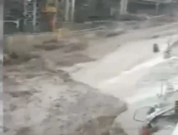 Mencekam! Pakar Ungkap Tantangan Ekstrem Penyelamatan 7 Pekerja Freeport yang Terjebak di Perut Bumi