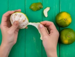 Mengejutkan! Serabut Putih Jeruk yang Sering Kamu Buang Ternyata 'Superfood' Tersembunyi untuk Kesehatanmu 9 Mengejutkan! Serabut Putih Jeruk yang Sering Kamu Buang Ternyata ‘Superfood’ Tersembunyi untuk Kesehatanmu