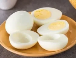 Menkes Budi Bocorkan Rahasia Sarapan Sehat: Cukup 2 Telur Rebus, Ini Efek Dahsyatnya Buat Tubuh!