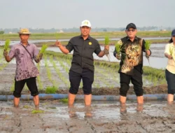 Mentan Amran Murka: Harga Pupuk ‘Digoreng’ di Indramayu, Izin Distributor Langsung Dicabut!