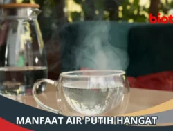 Minum Air Hangat di Waktu Ini, Berat Badan Auto Turun! Bukan Sekadar Mitos, Ini Penjelasannya.