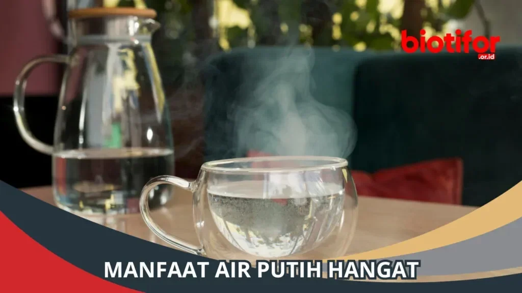 Secangkir air putih hangat mengepulkan uap, menyiratkan manfaat untuk diet.