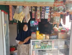 Modal Rp50 Juta Bikin Omzet Melejit, Rahasia Nadi Sugiharto Jadi ‘Raja Nanas’ Lampung!