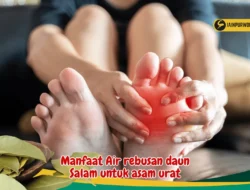 Ngeri Asam Urat Kumat? 5 Daun Ini Jadi Rahasia Ampuh Redakan Nyeri Sendi yang Mengganggu! 5 Ngeri Asam Urat Kumat? 5 Daun Ini Jadi Rahasia Ampuh Redakan Nyeri Sendi yang Mengganggu!