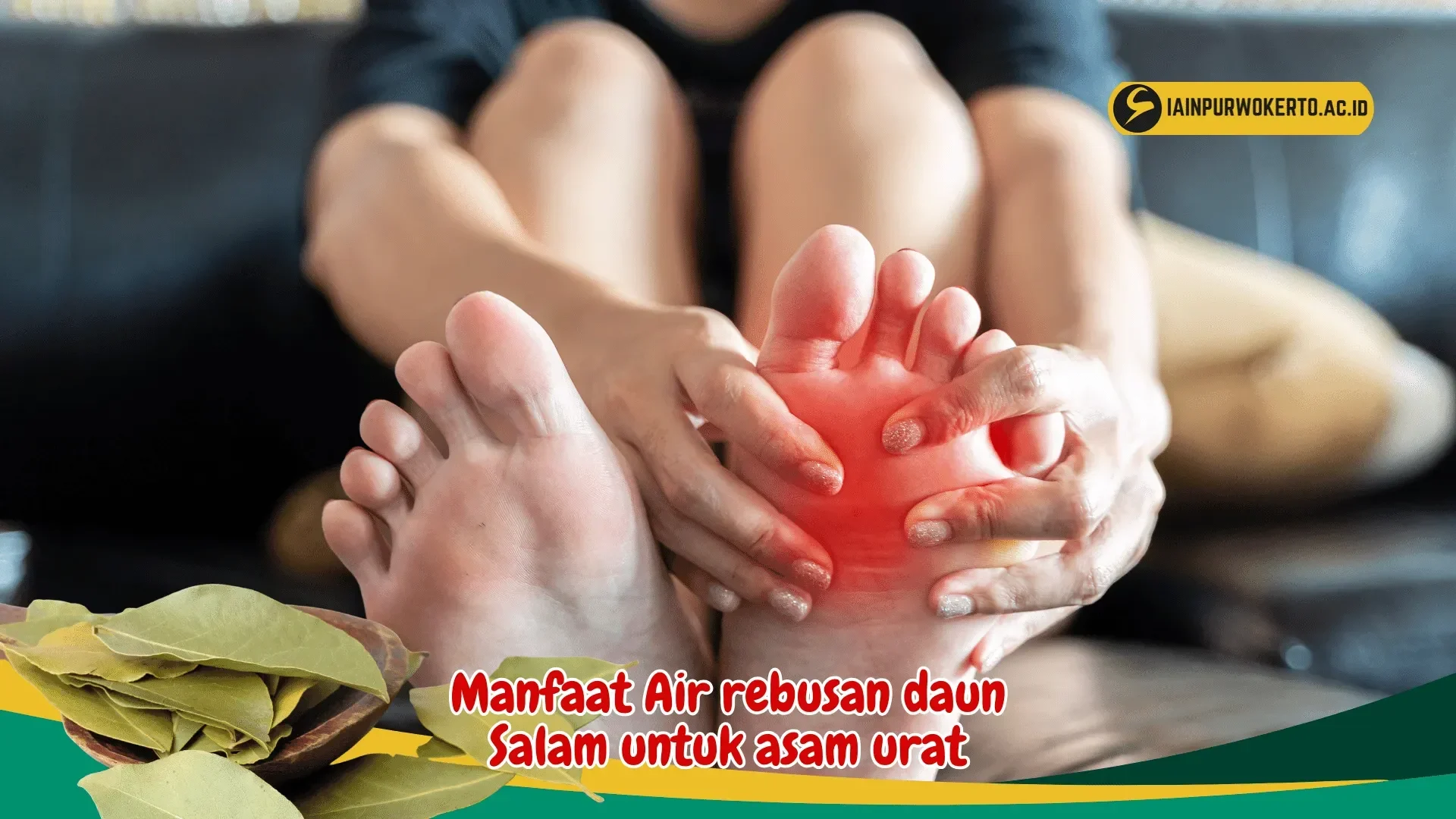 Ngeri Asam Urat Kumat? 5 Daun Ini Jadi Rahasia Ampuh Redakan Nyeri Sendi yang Mengganggu! 1 ngeri asam urat kumat 5 daun ini jadi rahasia ampuh redakan nyeri sendi yang mengganggu portal berita terbaru