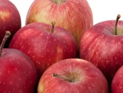 Ngeri! Buah dan Sayur Ini Paling Tinggi Pestisida, Langsung Masuk ke Tubuhmu? Cek Daftarnya!