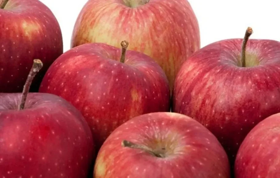 Tumpukan apel merah segar, mewakili buah dan sayuran yang dikonsumsi sehari-hari.