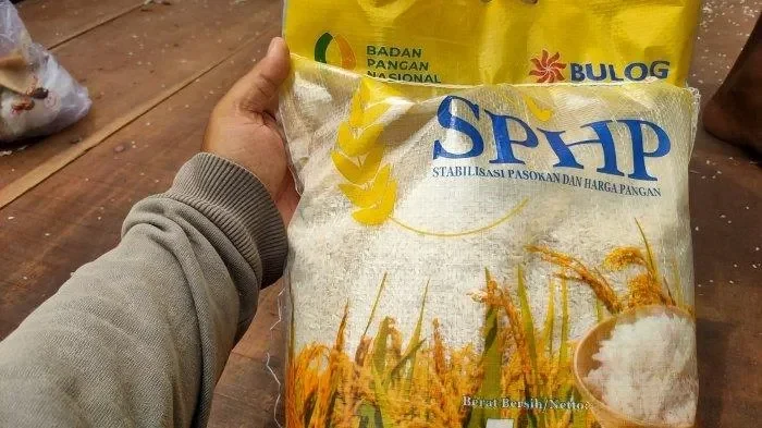 panik beras langka dirut bulog bongkar fakta mengejutkan di lapangan jamin stok aman portal berita terbaru