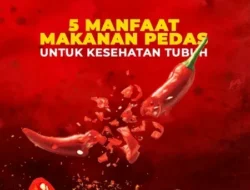 Pedas Bikin Panjang Umur? Ternyata Ini Sisi Gelap & Terang Makanan Favoritmu!