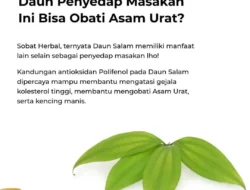 Penderita Asam Urat Wajib Tahu! 4 Daun Ini Jadi Rahasia Redakan Nyeri Sendi yang Mengganggu
