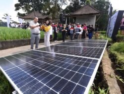 Petani Karawang Kaya Raya Berkat Jamur! Rahasia PLTS Pertamina Bikin Omzet Melejit