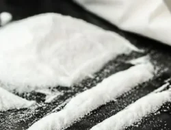 Polda Metro Jaya Selamatkan Ribuan Pecandu Narkoba: Jaringan Bandar Terbongkar, Jutaan Jiwa Terselamatkan!