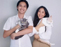 Polemik Kucing Sherina Munaf dan Uya Kuya Berakhir Damai: 5 Hewan Kesayangan Siap Kembali ke Pelukan Keluarga!